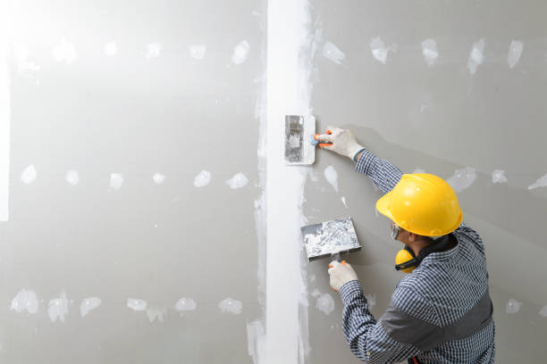 Best Mold Prevention Services  in West Memphis, AR