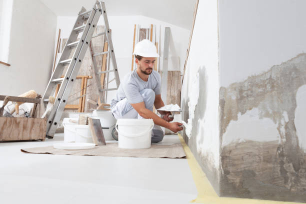Best Basement Mold Removal  in West Memphis, AR