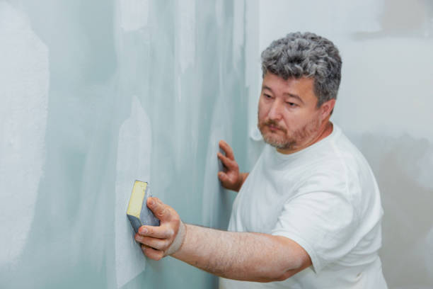 Best Asbestos and Lead Testing During Mold Inspection  in West Memphis, AR